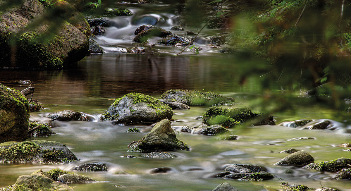 Naturlandschaft in Bayern
